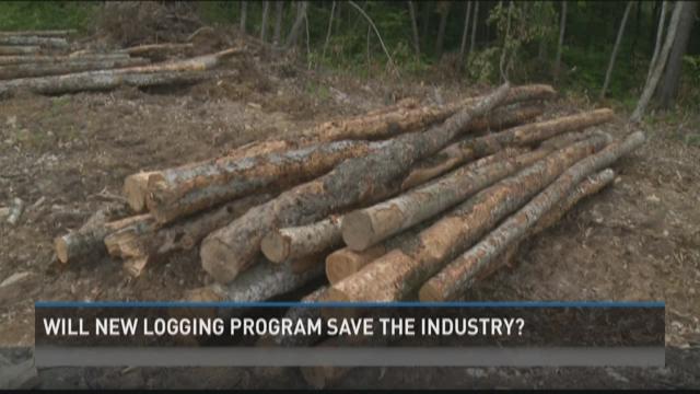 Could new logging technology help save the industry? | newscentermaine.com